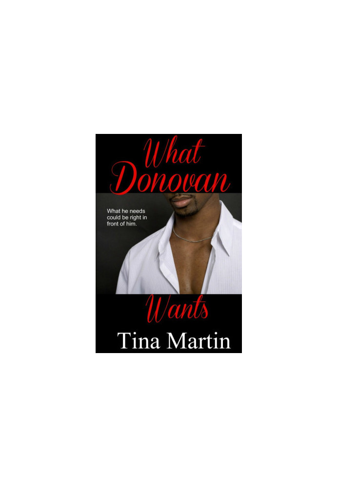 [The Accidental Series 04] • What Donovan Wants