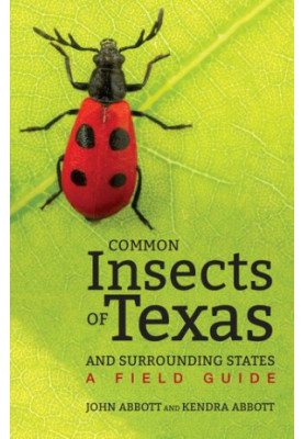 Common Insects of Texas and Surrounding States: A Field Guide