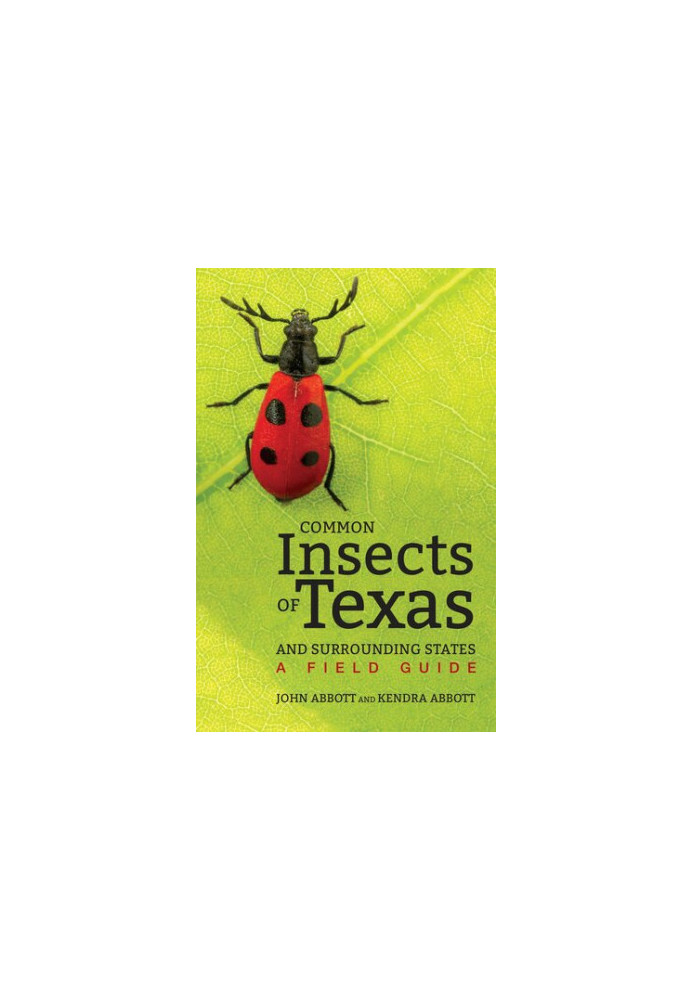 Common Insects of Texas and Surrounding States: A Field Guide