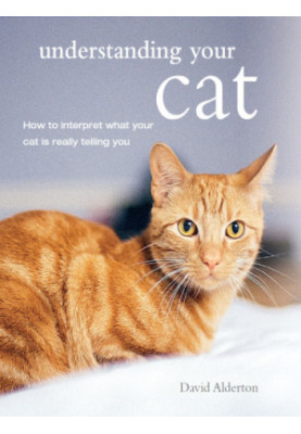 Understanding Your Cat: How to Interpret What Your Cat Is Really Telling You