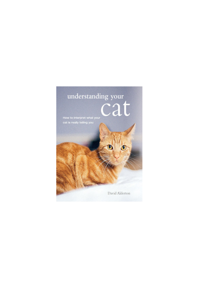Understanding Your Cat: How to Interpret What Your Cat Is Really Telling You