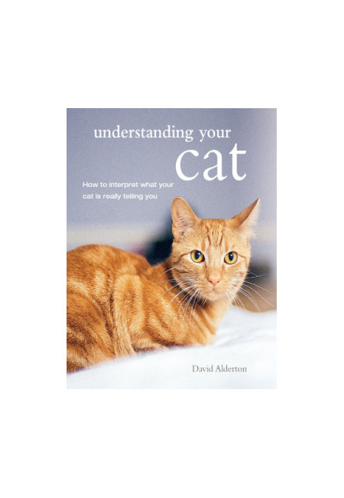 Understanding Your Cat: How to Interpret What Your Cat Is Really Telling You