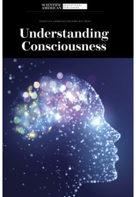 Understanding Consciousness