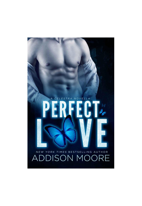 [Celestra 8.50] • Perfect Love