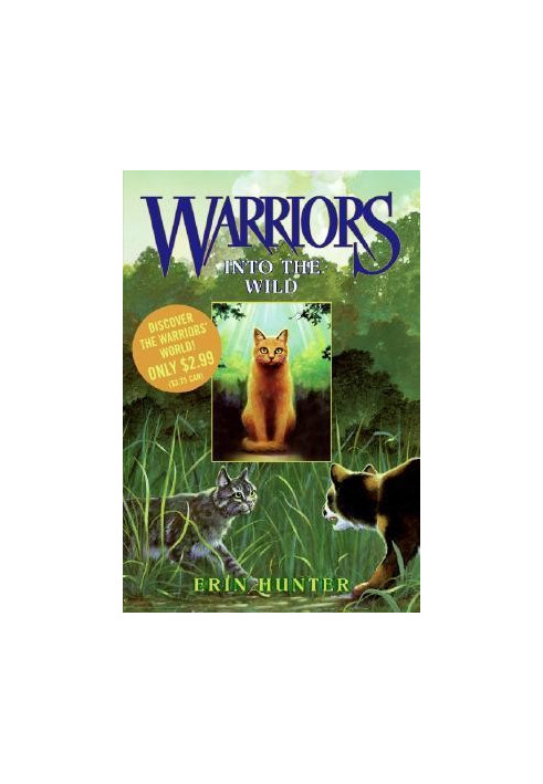 Warriors 1: Into the Wild