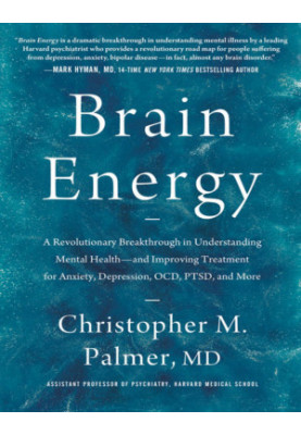 Brain Energy