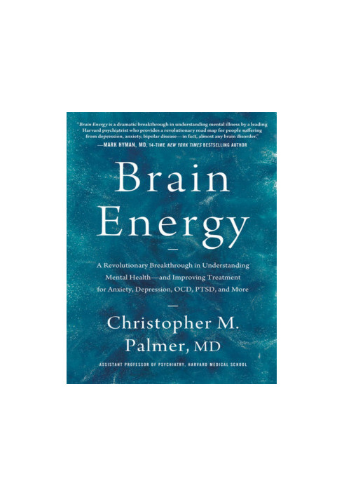 Brain Energy