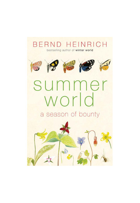 Summer World: A Season of Bounty