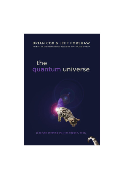 The Quantum Universe (2018)