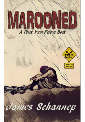MAROONED: Will YOU Endure Treachery and Survival on the High Seas? (Click Your Poison)