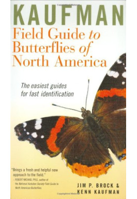 Field Guide to Butterflies of North America
