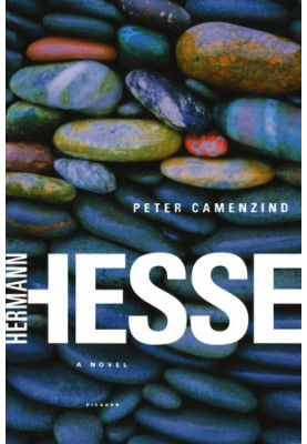 Peter Camenzind