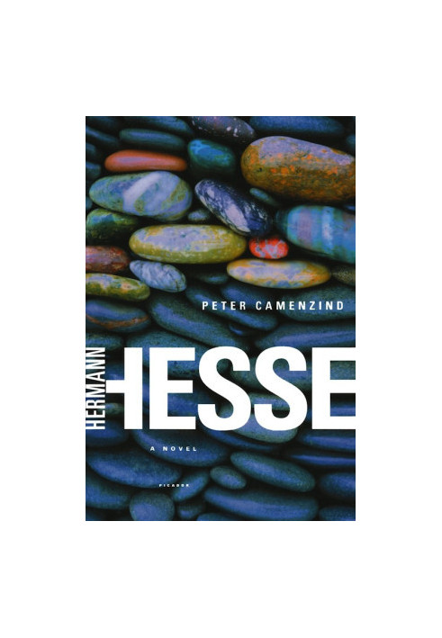 Peter Camenzind