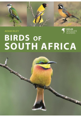 Birds of South Africa