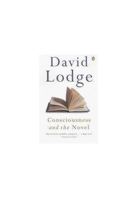 Consciousness and the Novel
