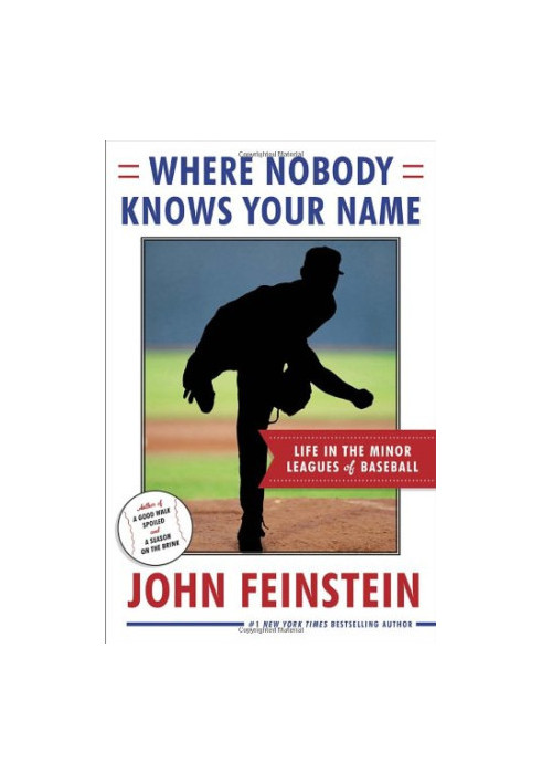 Where Nobody Knows Your Name: Life In the Minor Leagues of Baseball