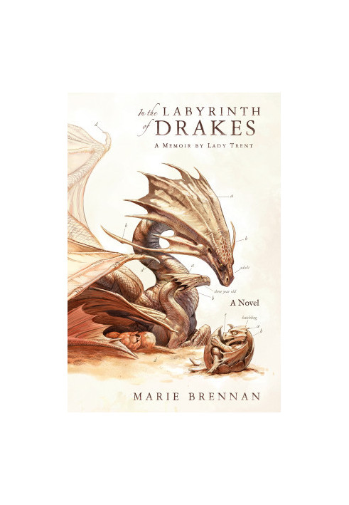 In the Labyrinth of Drakes