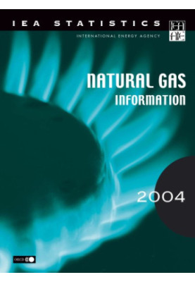 Natural Gas Information 2004 Edition.