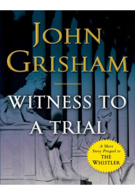 Witness to a Trial