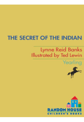 The Secret of the Indian