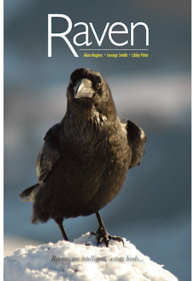 Raven