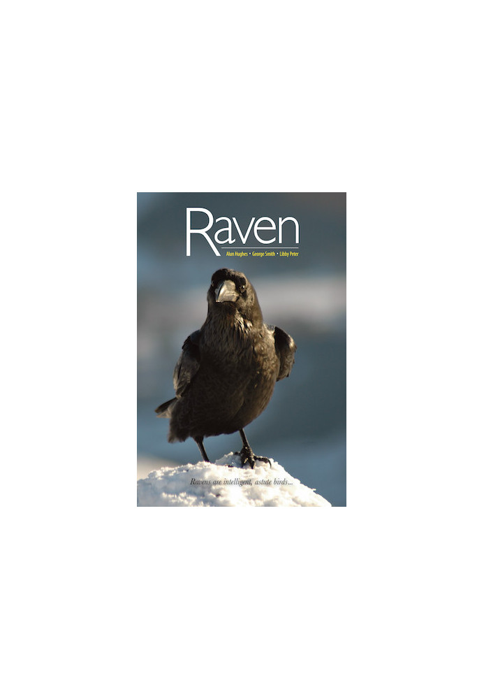 Raven
