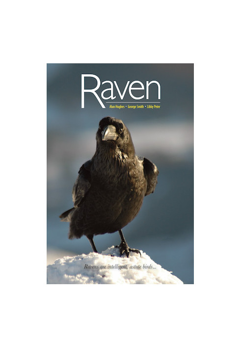 Raven