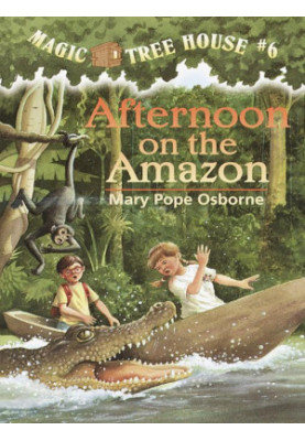 Afternoon on the Amazon