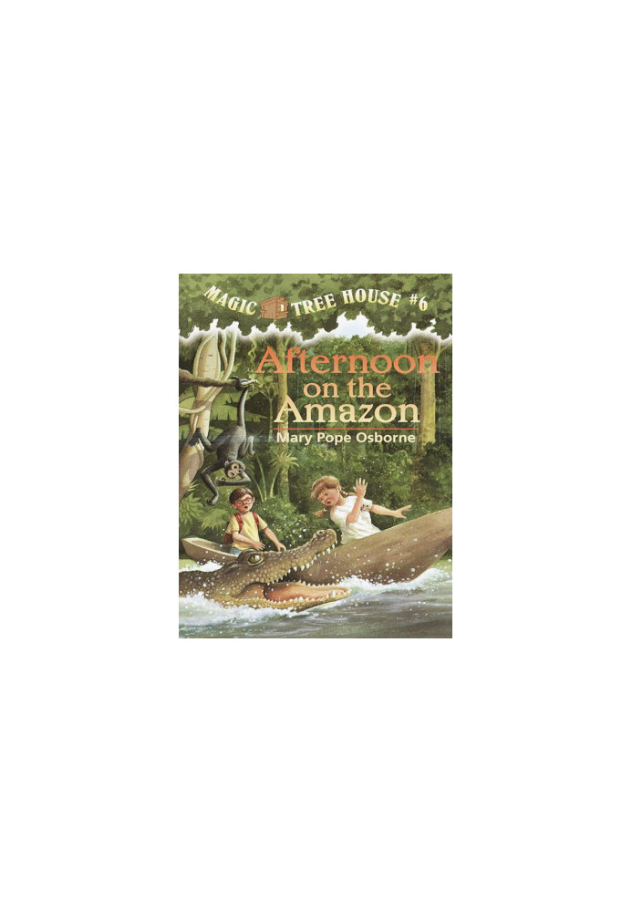 Afternoon on the Amazon