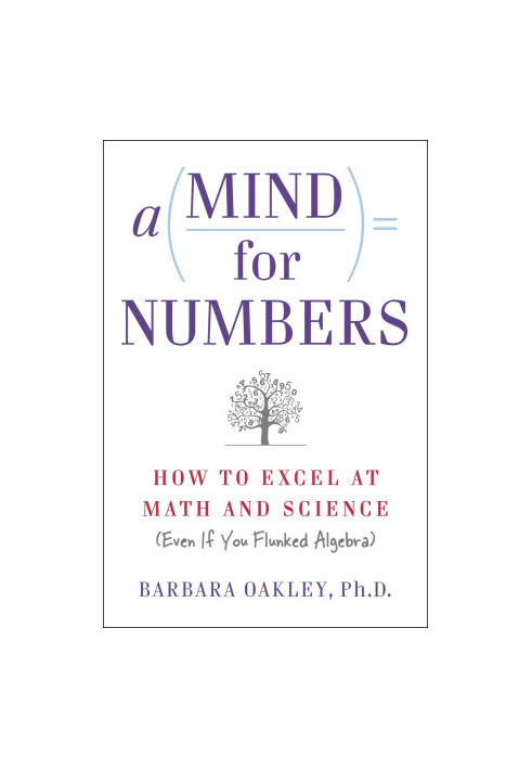 A Mind For Numbers