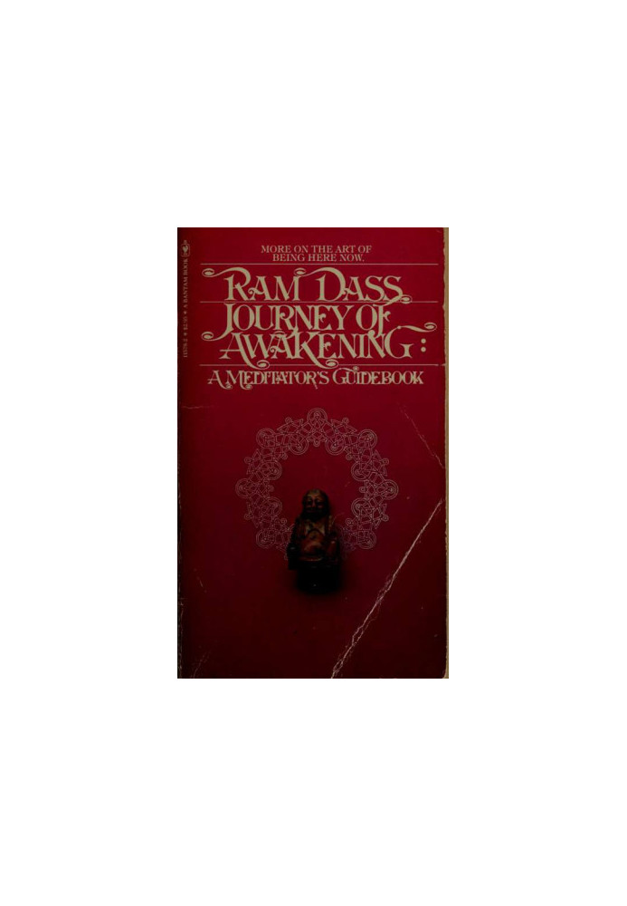 Journey of awakening : a meditator's guidebook
