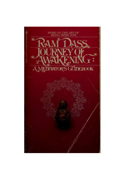 Journey of awakening : a meditator's guidebook