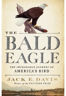 The Bald Eagle