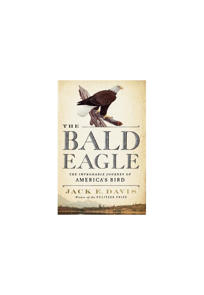 The Bald Eagle