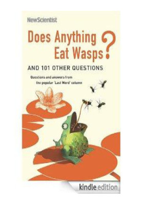 Does Anything Eat Wasps