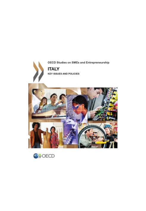 Italy : key issues and policies