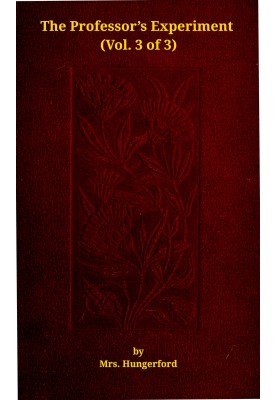 The professor's experiment: A novel, Vol. 3 (of 3)