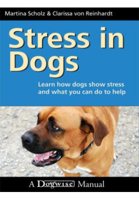 Stress in Dogs - Learn How Dogs Show Stress And What You Can Do To Help