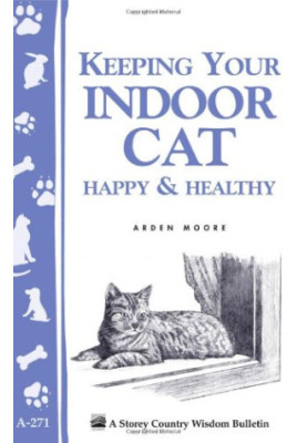 Keeping Your Indoor Cat Happy & Healthy