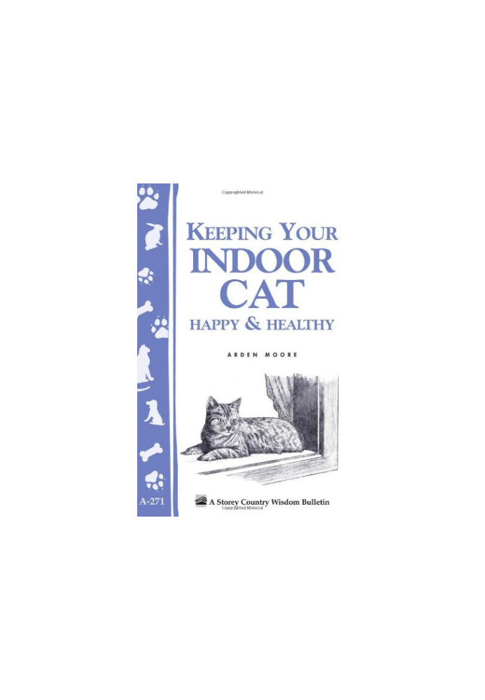 Keeping Your Indoor Cat Happy & Healthy