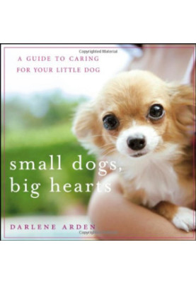 Small Dogs, Big Hearts