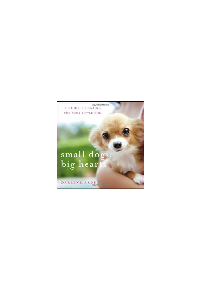 Small Dogs, Big Hearts