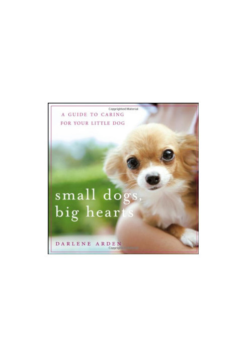 Small Dogs, Big Hearts