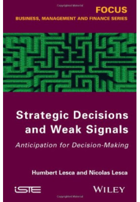 Strategic decisions and weak signals : anticipation for decision-making