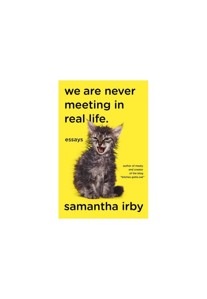 We Are Never Meeting in Real Life.: Essays