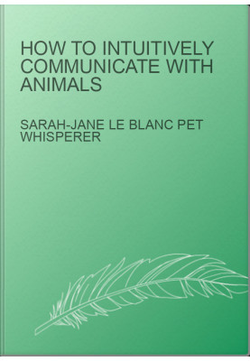 How To Intuitively Communicate With Animals