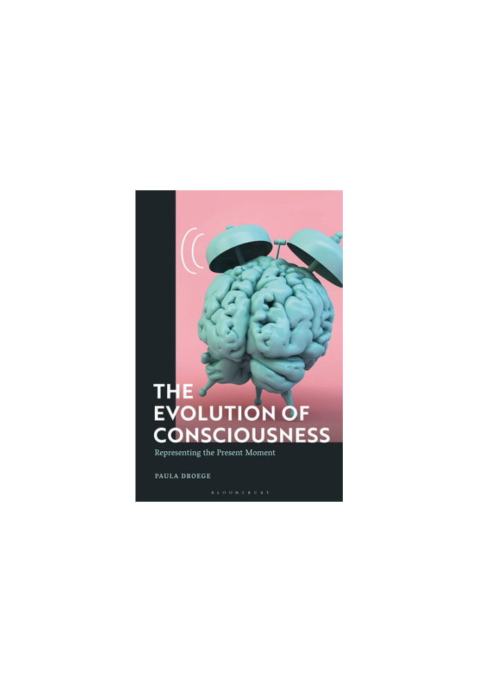The Evolution of Consciousness: Representing the Present Moment