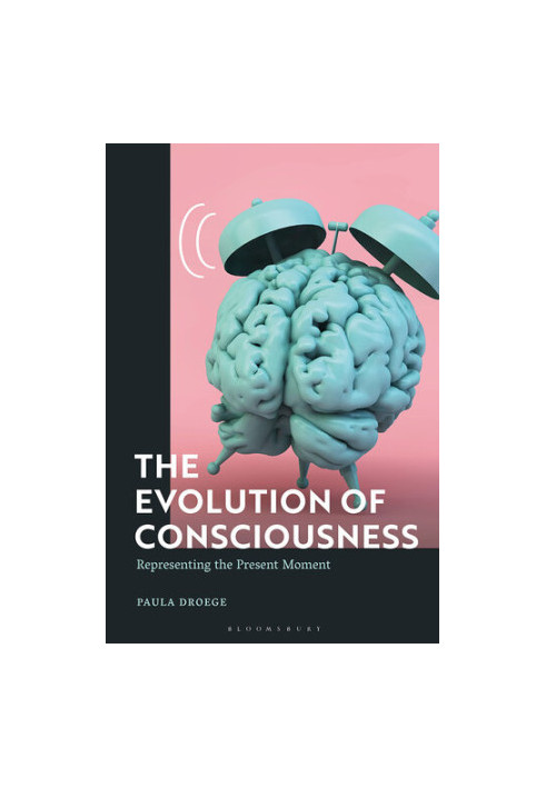 The Evolution of Consciousness: Representing the Present Moment