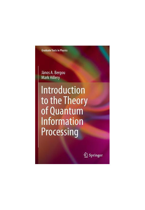 Introduction to the Theory of Quantum Information Processing (Graduate Texts in Physics)