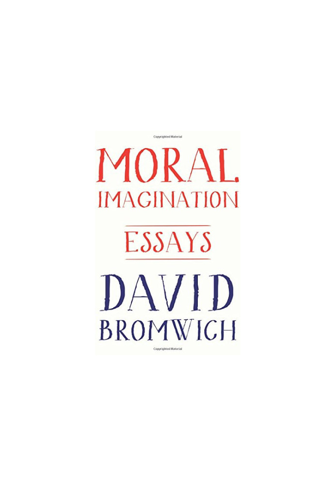Moral Imagination : essays